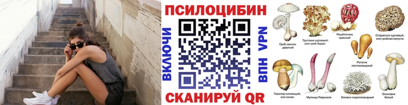 blacksprut ONION  Иноземцево  даркнет состав  Псилоцибиновые грибы ЛСД 